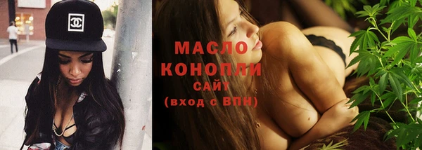 стаф Вяземский