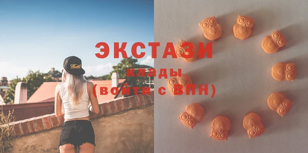 стаф Вяземский