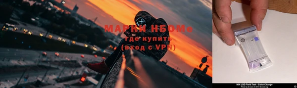 стаф Вяземский