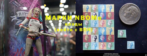 стаф Вяземский