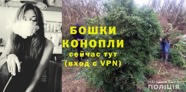 стаф Вяземский